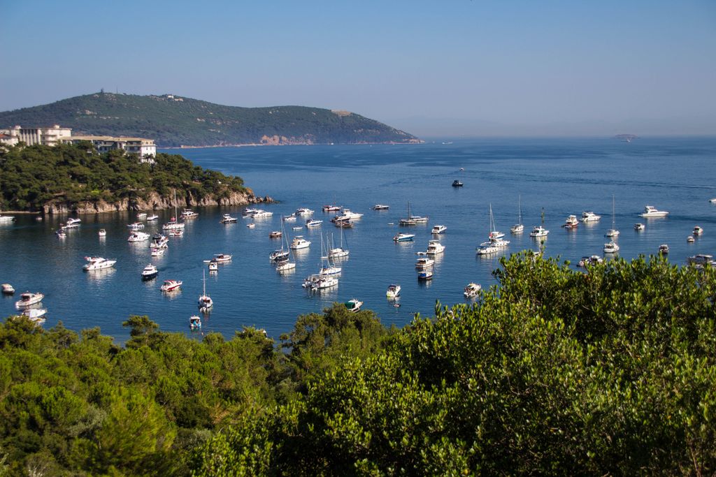 Beautiful blue bay with numerous boats and lush greenery, perfect for a serene getaway.